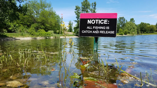 catch and release notice on a lake