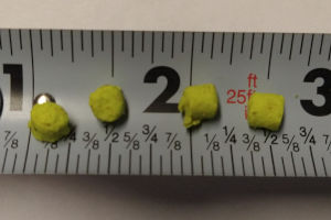 crappie nibbles on tape measure