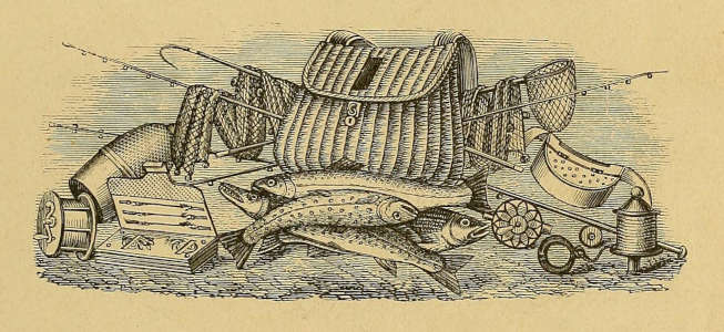 illustration of trout and fishing tackle