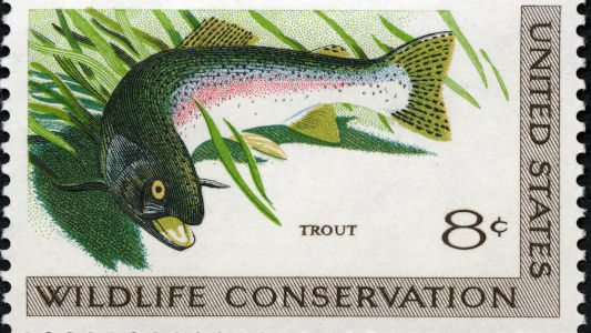 rainbow trout on a stamp